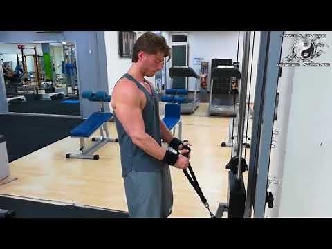 Curl Fune Cavo Basso Martello - BICIPITI (Brachiale)