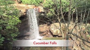 74K views · 605 reactions | Ohiopyle State Park is home to many...