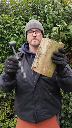 Survival Skills: Scotch Eyed Auger #bushcraft #survival #camping #outdoors