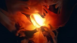 Fire Alchemy Logo Reveal (7 Second Version) | Renderforest