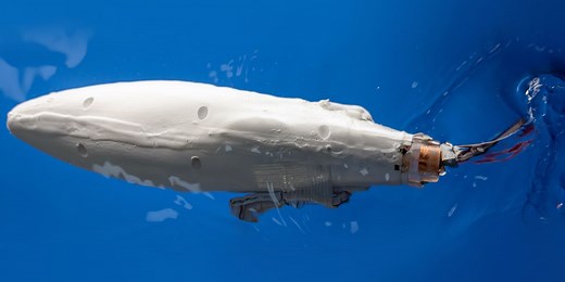 What Makes This Robotic Fish So Efficient?