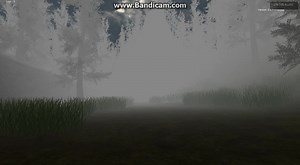 Quick Review video - Endless Forest