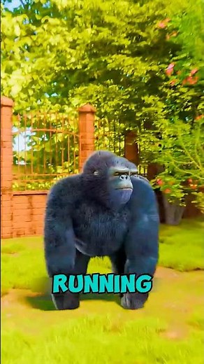 What To Do If You Fall Into a Gorilla Enclosure 🦍