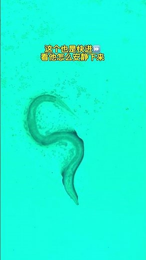 紫外线灯的杀伤力到底有多强，一照微生物的世界真的就安静了吗 #紫外线消毒灯#实验 #微生物 #显微镜下的世界 #内容启发搜索