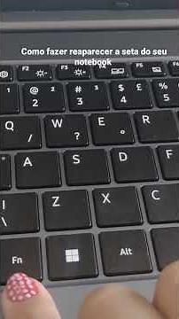 Cursor do mouse sumiu ,como Fazer reaparecer a seta do seu notebook