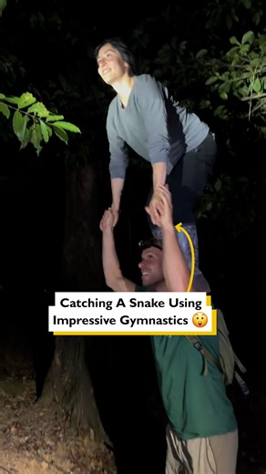 19K views · 75 reactions | Catching a snake using impressive gymnastics  | Level Fitness | Facebook