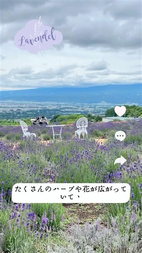 #長野県 #夢ハーベスト農場 #軽井沢 #薰衣草 #長野 #nagano #lavender #나가노여행