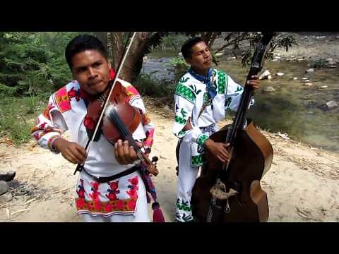 LA ABEJA MIOPE version Huichol CARRILLOS MUSICAL