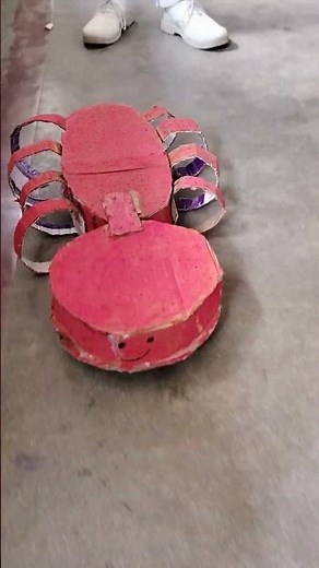 Spyder Robo Science Project 🤖 | Smart Spider Robot in Action #Shorts