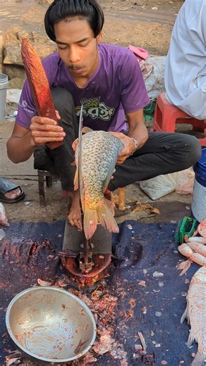 Amazing Big Japani Curp Fish Cutting By Experts #shorts