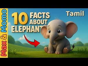 10 Amazing Facts About Elephants! 🐘 | Tamil 3D Animation for Kids | #TamilCartoon | Max & Momo