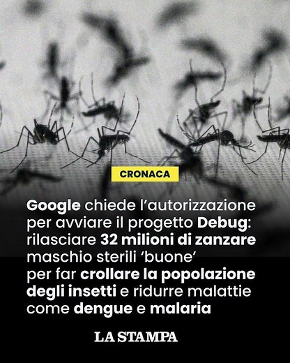 Google chiede l'ok per il progetto Debug: rilasciare zanzare 'buone' per combattere quelle 'cattive'