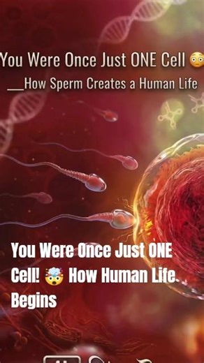 You Were Once Just ONE Cell! 🤯 How Human Life Begins #3danimation #humanbody#anatomy #sprm#शुक्राणु