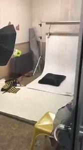 2.6K views · 72 reactions | Oops! Forgot these sweet pups! A few more adoptable large dogs. | Bradshaw Animal Shelter | Facebook