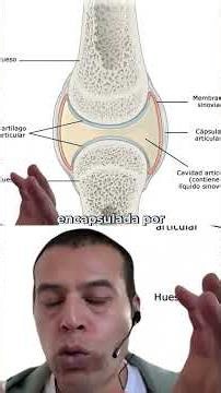 ¿Conoces la anatomía de tus articulaciones?
