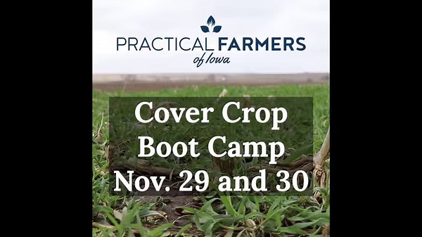 10K views · 20 shares | Looking to advance your understanding of how cover crops can work for you? PFI is hosting a Cover Crop Boot Camp, Tuesday, Nov. 30 from 9 a.m.-4 p.m. Hear how farmers are working with cover crops to reduce nitrogen and herbicide inputs, growing their own cover crop seed and incorporating their cover crops with livestock. Register today! https://bit.ly/3GHUprx | Practical Farmers of Iowa | Facebook