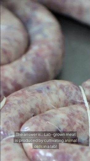 The Future of Lab-Grown Meat Technology | Revolutionizing Food Production