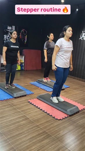 Fit.With.Fun on Instagram: "#stepperexercise #stepperroutine #stepperworkout #stepperfitness #stepperfitness #fitnessworkout #viralvideos❤️❤️"