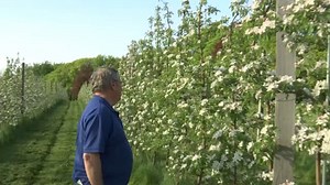 SNAP aiding second largest industry in Upstate NY, farming