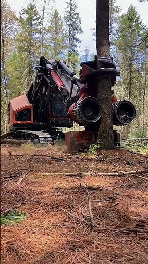 The All-in-One Logging Machine: From Felling to Cutting in Seconds #automobile #logging #excavator
