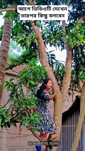 dj alamgir 🎧 dj antu 📻 Dj Akter 🎶🎶 d.jmanik🎧 Dj gan 🎶🎶 Di Akter King 🎧 Di song 💿 Dj s gobindo #dj#dj