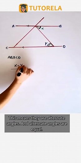 Understanding Alternate Angles: X and Y Explained #Math #ParallelAndPerpendicularLines