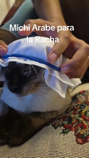 Michi Jefe Arabe: Diversión y Cultura