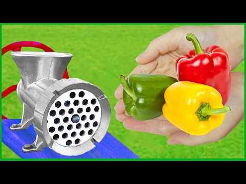Experiment Bell Peppers VS Meat Grinder