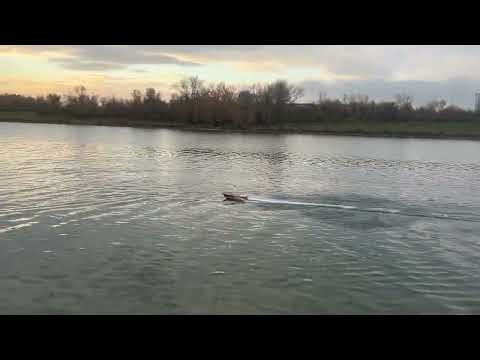 3D printed RC dual jet sport boat - 3s run with fins