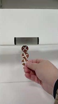 Coins and a magnet #physics #explorephysics #physicsfun