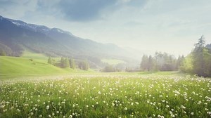 被审稿人认可的Discussion结构五部法