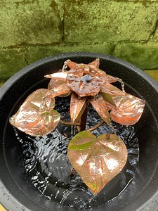 Lotus Fountain Copper Bird Bath Lily Water Design for Garden, Outdoor Yard Décor, Pollinator Friendly Bird Feeder Bowl, Solar Pump - Etsy Australia