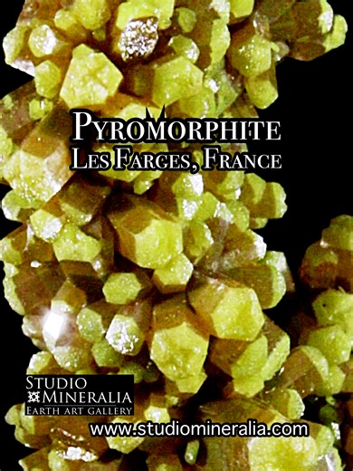 I will remember youuuuuuuuuuuuuuuu . . . Sold LIVE. Join Us! #geology #nofilter #amazing #macro #geologyrocks #beautiful #closeup #mineralspecimen #aesthetic #minerals #nature #crystals #love #mineralia #mineralart #geologypage #naturephotography #trend #yellow #fractal#fypcrystals #fypage #fyp #fypシ゚viral #crystalsoftiktok #crystallover