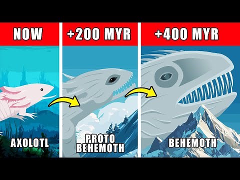 Behemoth Origin Evolution: How Behemoth Could Have Evolved