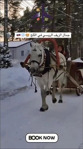 جمال الريف الروسي تحت الثلج ❄️ هدوء وطبيعة بلا حدود