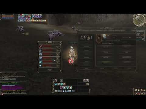Lineage 2 Best - Auto Farm System