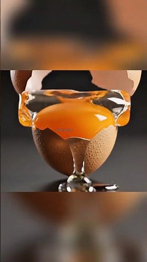 Chicken or Egg: Science Finally Has an Answer