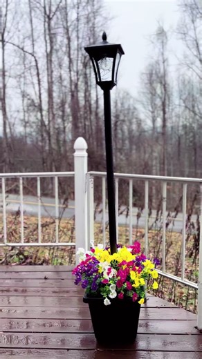 Light up your front porch without ever having to use electricity. These solar powered outdoor lights look like real lamp post. Perfect addition for your yard, porch, garden or patio. ☀️💐 #outdoorlight #solarlights #solaroutdoorlights #outdoorlighting #lamppost
