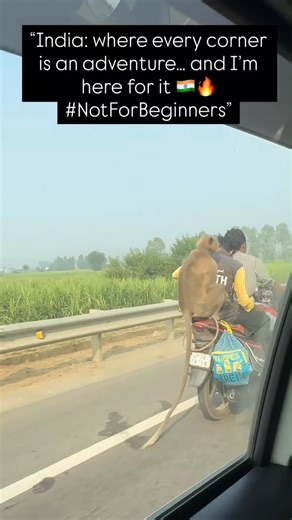 Damian Stepper on Instagram: "India is Not For Beginers"