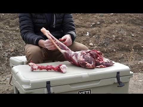 How to debone a hind quarter- Advanced Backcountry Butchering Techniques