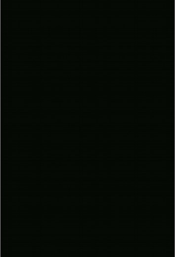 Reflexões ao Som de NSC