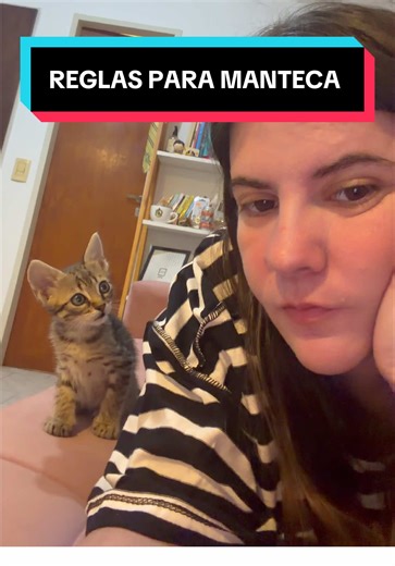 Reglas Para Manteca: Consejos y Juegos de Gatos