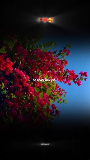 || Tum sa koi pyara😍✨|| #lyricsvideo #aestheticvideo #whatsappstatus