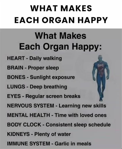 What Makes Each Organ Happy 😀😁