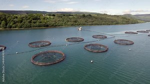 A Salmon Fish Farm in Scotland Providing Aquaculture for Food Markets