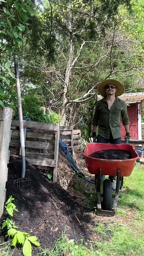 Planting Tomatoes Guide: Tips for Growing Abundant Tomatoes