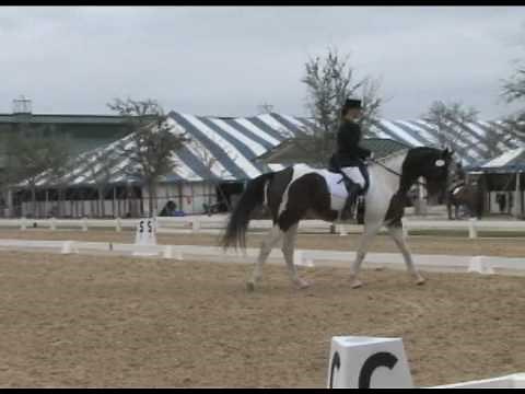 Dressage Test, 3-1, Third Level/Medium/M, The Judges View with Natalie Lamping