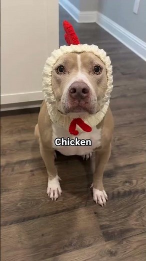 Chicken Banana Dance 4🐔🍌 | Funny Viral TikTok Trend | Shorts