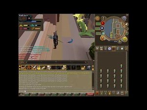 RuneScape - FLETCHING SKILL PET
