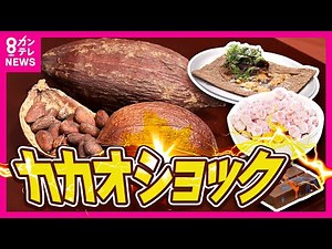 【カカオショック】チョコ1粒の平均『418円』カカオの取引価格は2年で4倍 ウイルスまん延でガーナなどの「カカオの木」大量に燃やすことに カカオ生産者には一定のメリットも〈カンテレNEWS〉